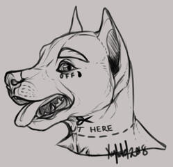 Sketch