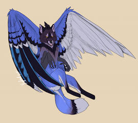 Fullbody